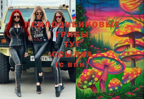 jwh Осинники