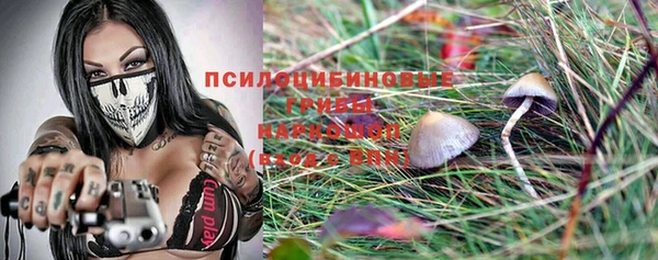 jwh Осинники