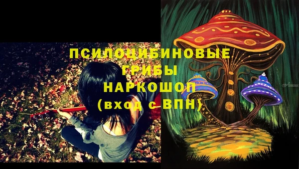 jwh Осинники
