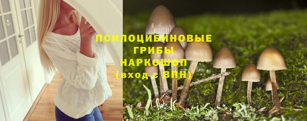 jwh Осинники