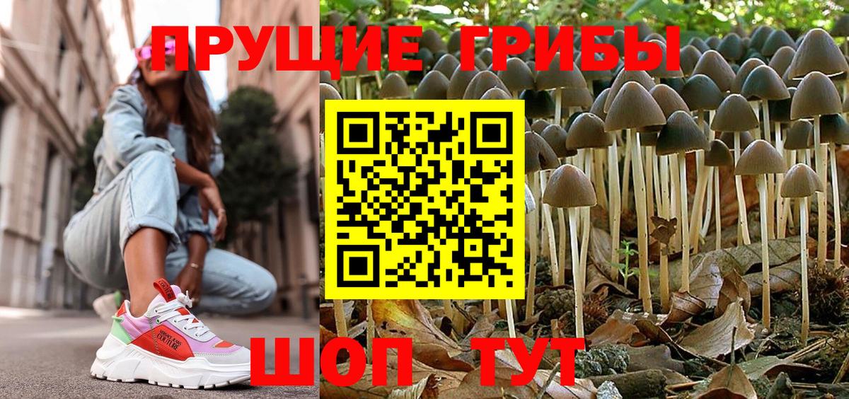 Галлюциногенные грибы Psilocybine cubensis  Вход с VPN  Краснодар 