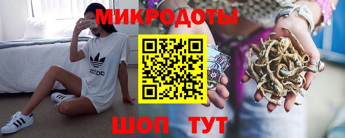 Псилоцибиновые грибы Cubensis Краснодар